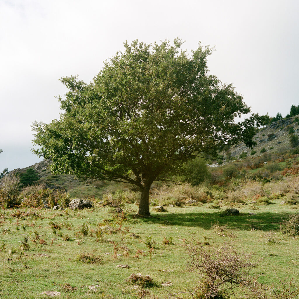 05 copia