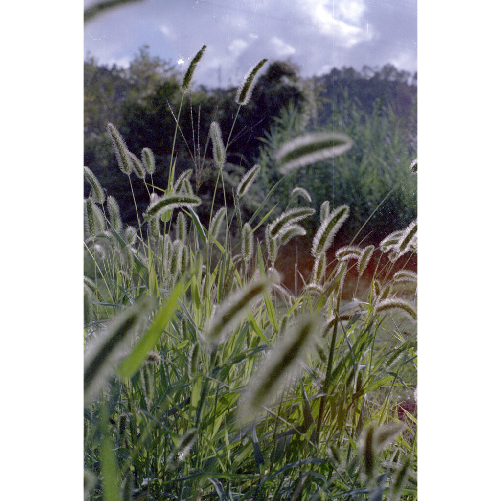 CyberViewX v5.16.55
Model Code=72
F/W Version=1.07